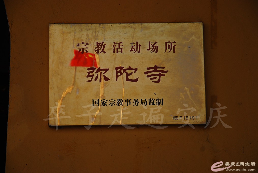 DSC_6908.jpg