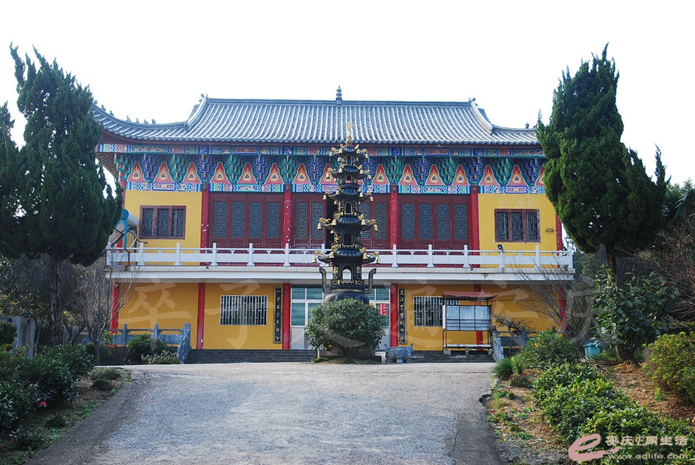 DSC_6909.jpg
