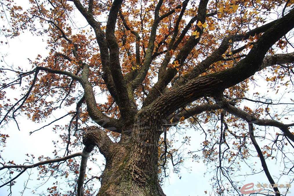 DSC_6923.jpg
