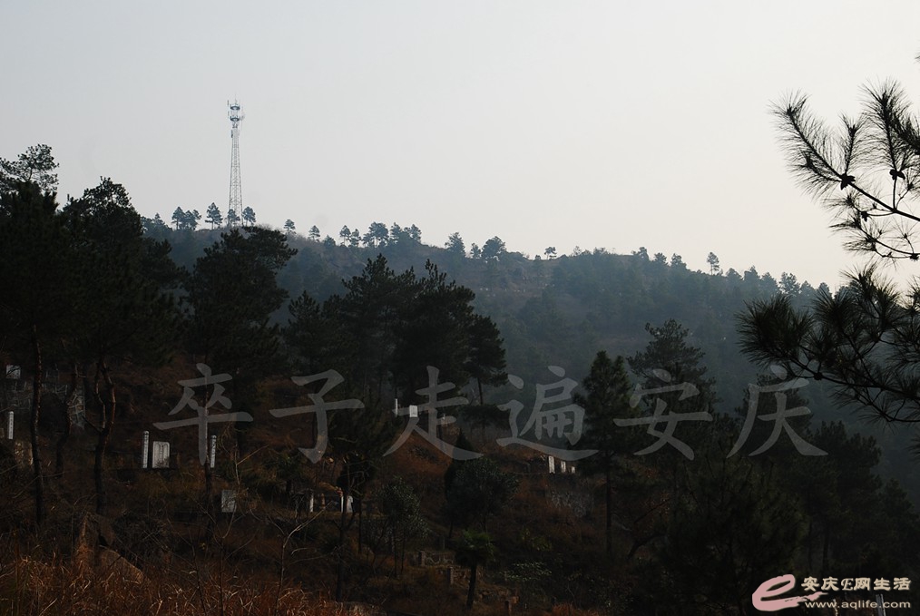 DSC_6813.jpg