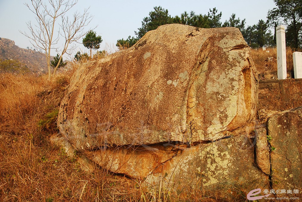 DSC_6826.jpg
