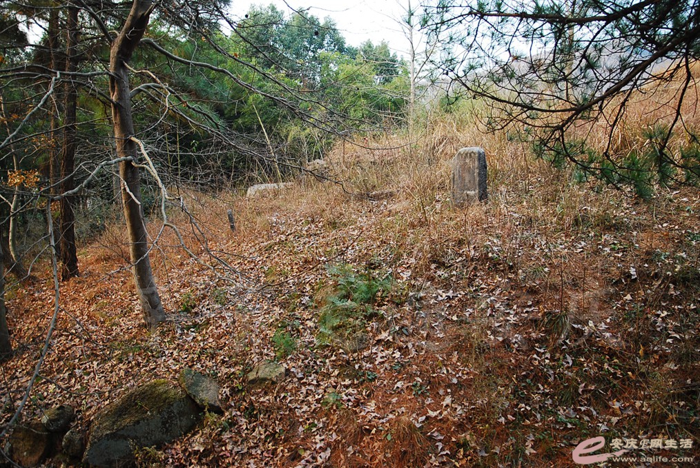 DSC_6830.jpg