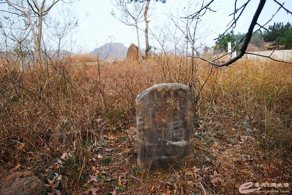 DSC_6831.jpg