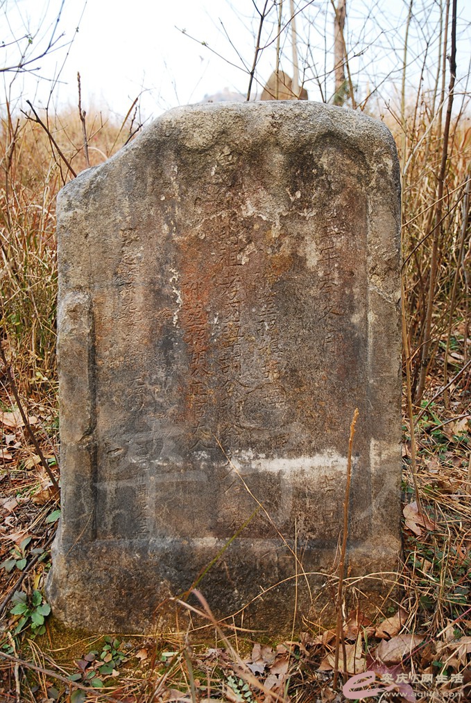DSC_6832.jpg