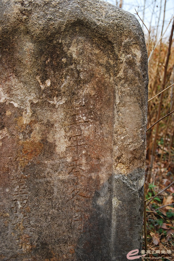 DSC_6835.jpg