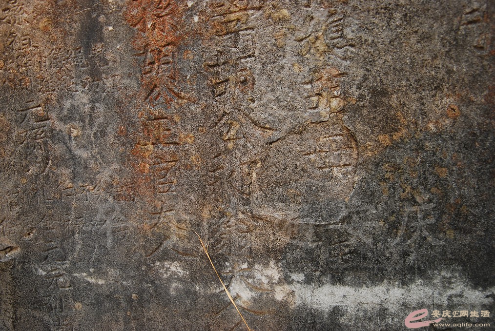 DSC_6839.jpg