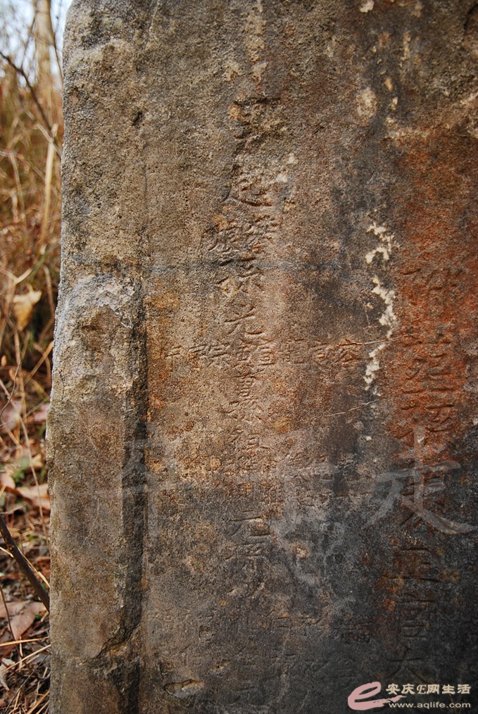 DSC_6840.jpg