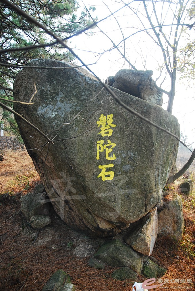 DSC_6885.jpg