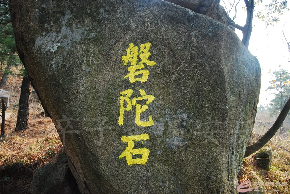 DSC_6887.jpg
