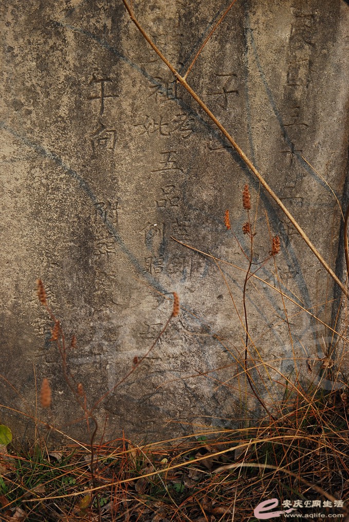 DSC_6895.jpg