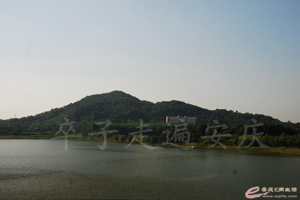 DSC_7045.jpg