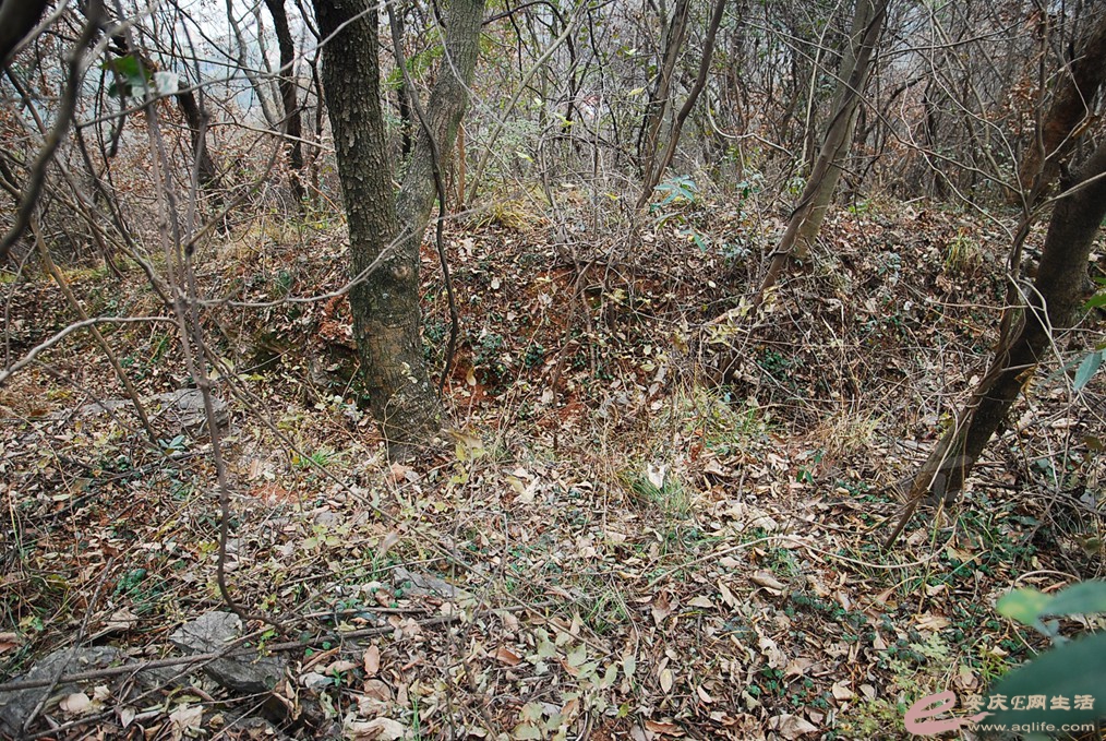 DSC_7047.jpg