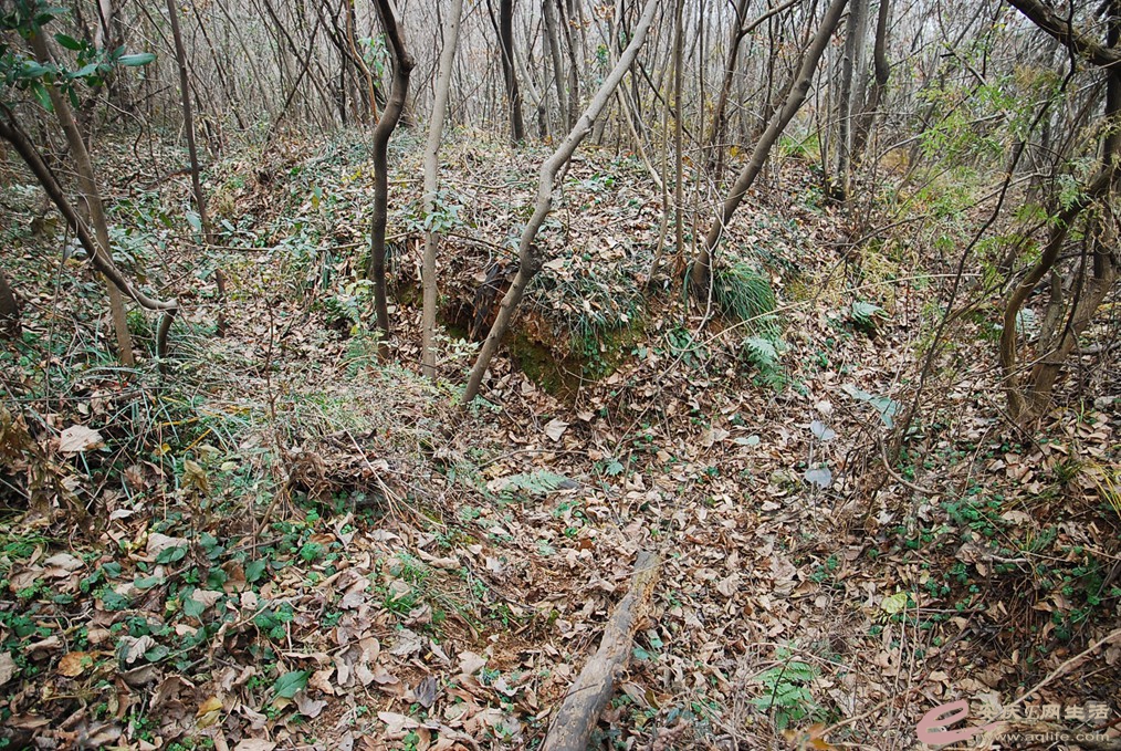 DSC_7053.jpg