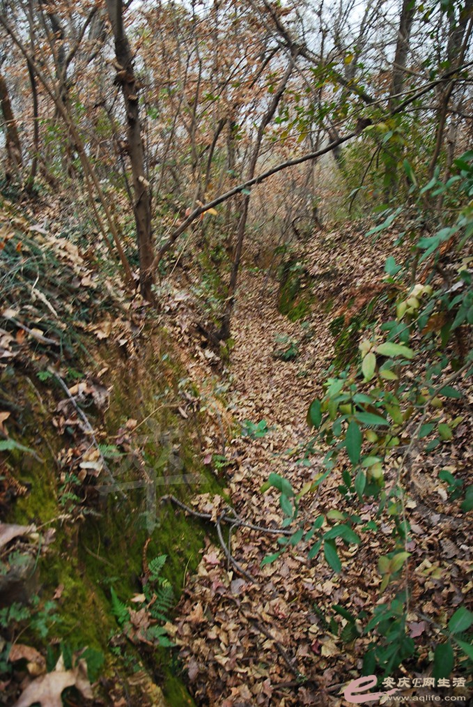 DSC_7058.jpg