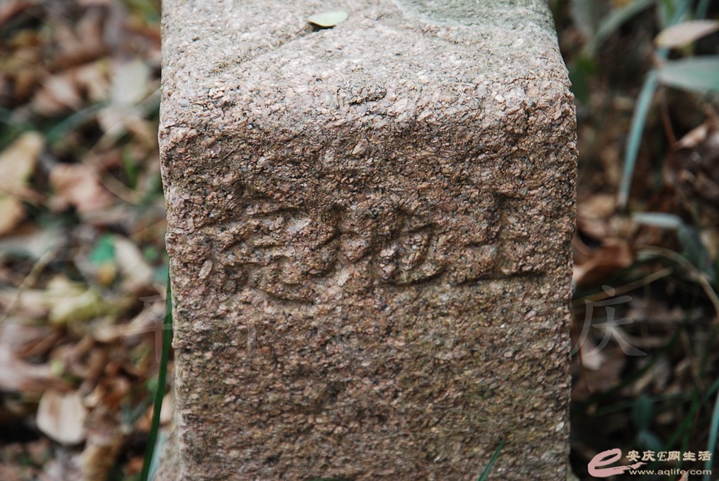 DSC_7062.jpg