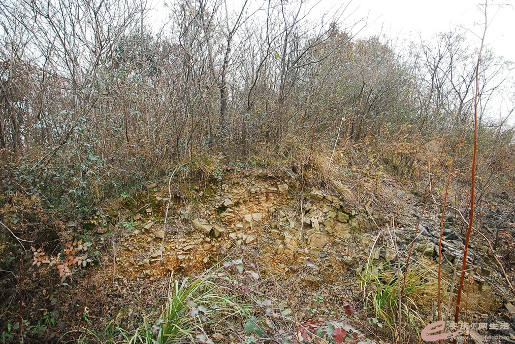 DSC_7087.jpg