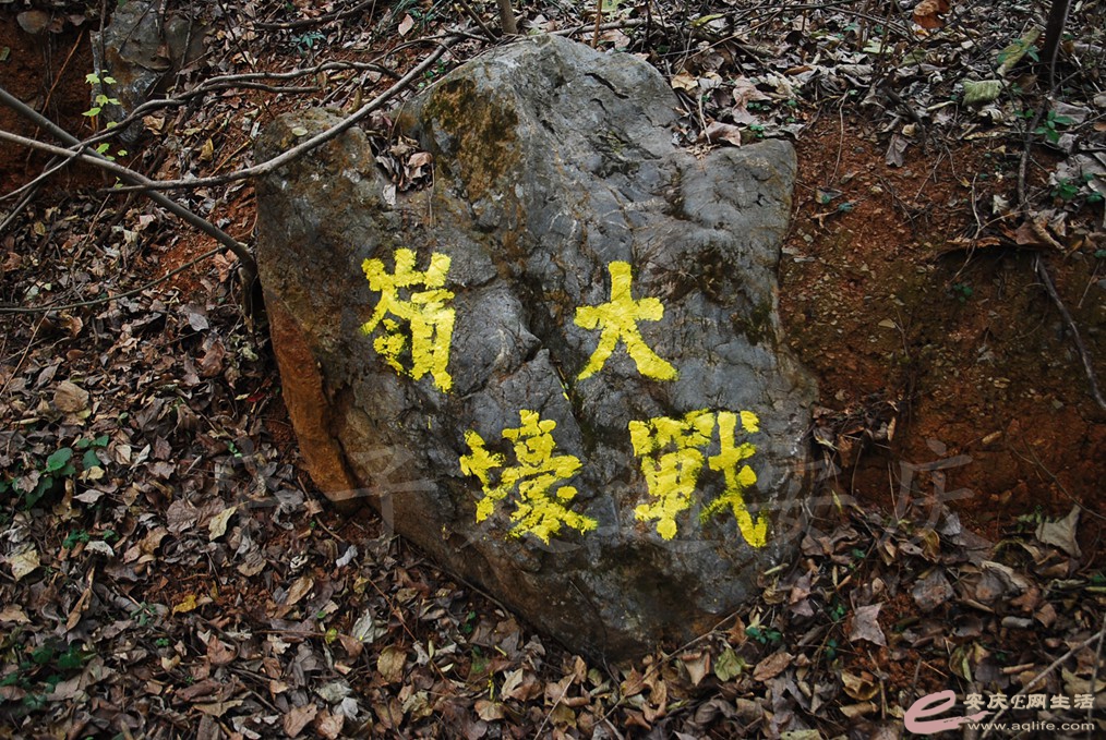 DSC_7100.jpg