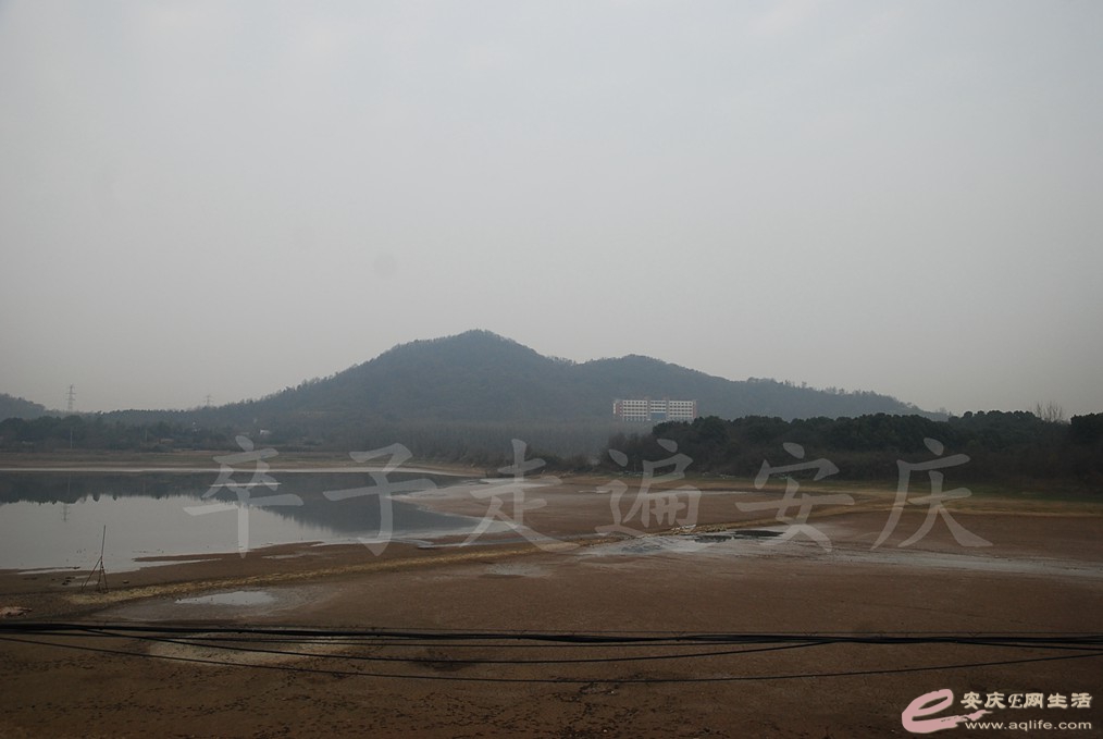 DSC_6918.jpg