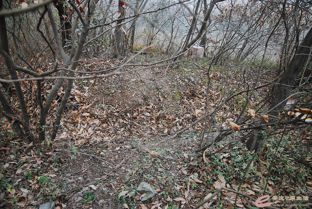 DSC_6956.jpg