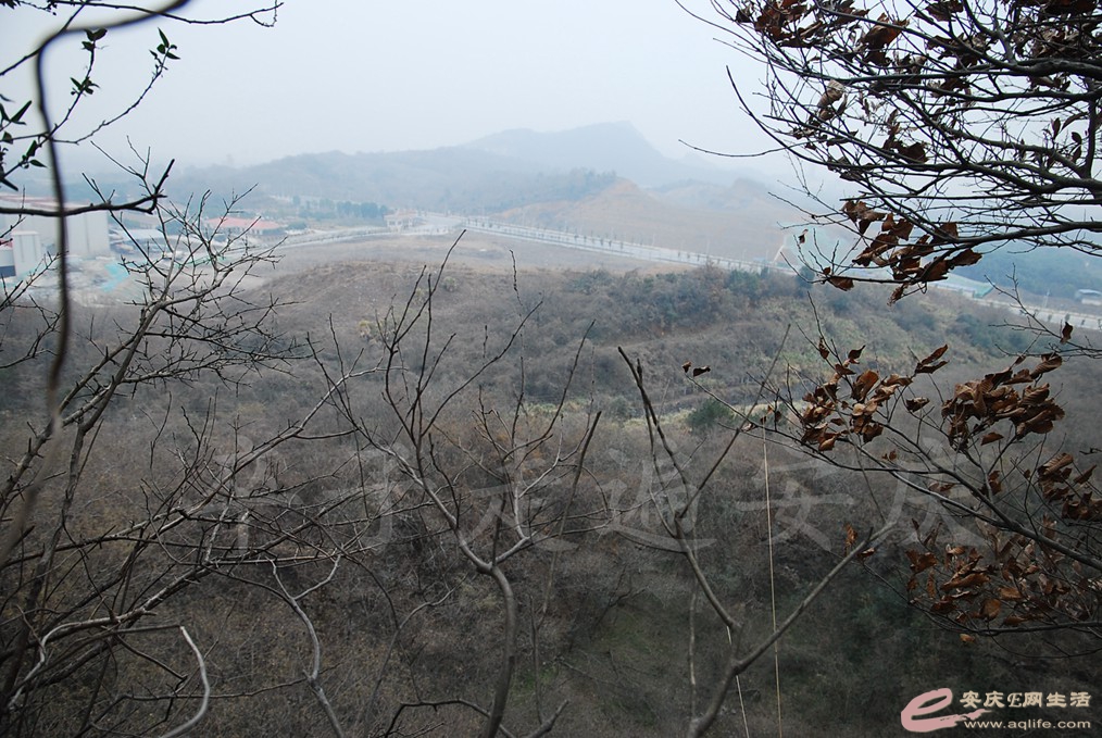 DSC_6963.jpg