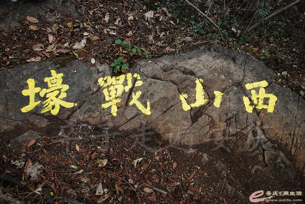 DSC_7040.jpg