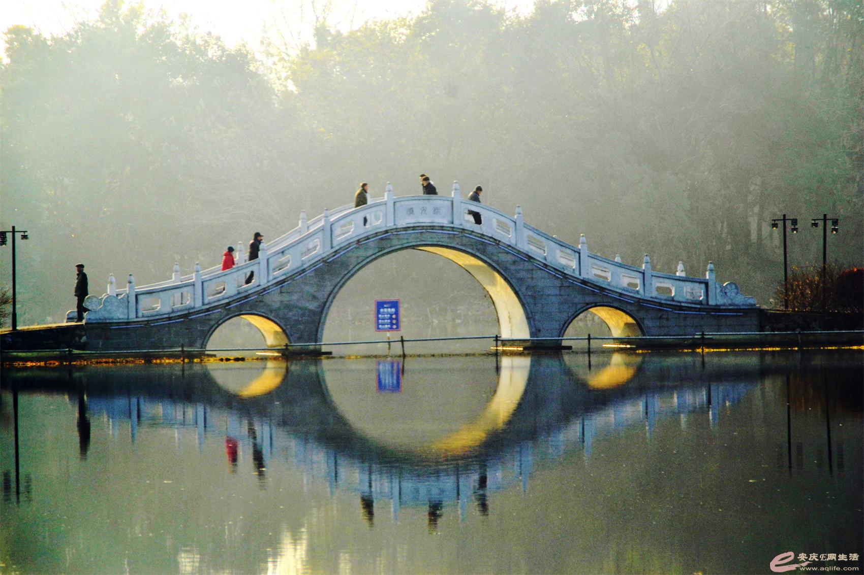 QQͼƬ20201229101507.jpg
