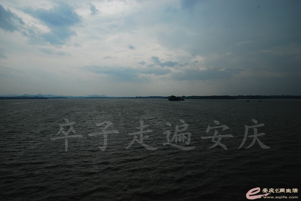 DSC_7363.jpg