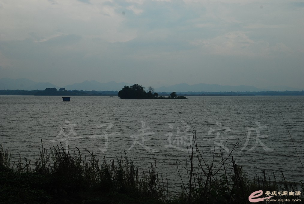 DSC_7374.jpg