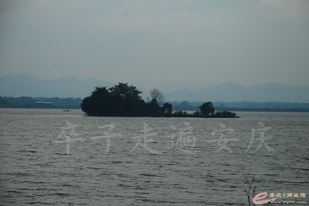 DSC_7377.jpg