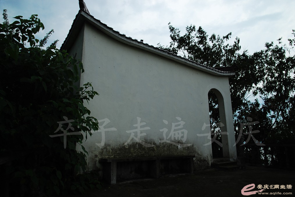DSC_7408.jpg
