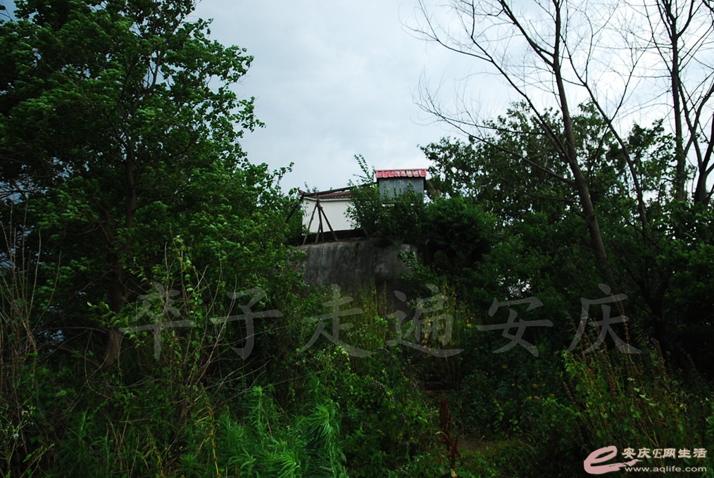 DSC_7422.jpg