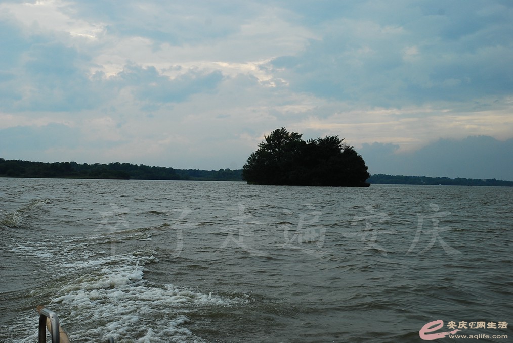 DSC_7442.jpg