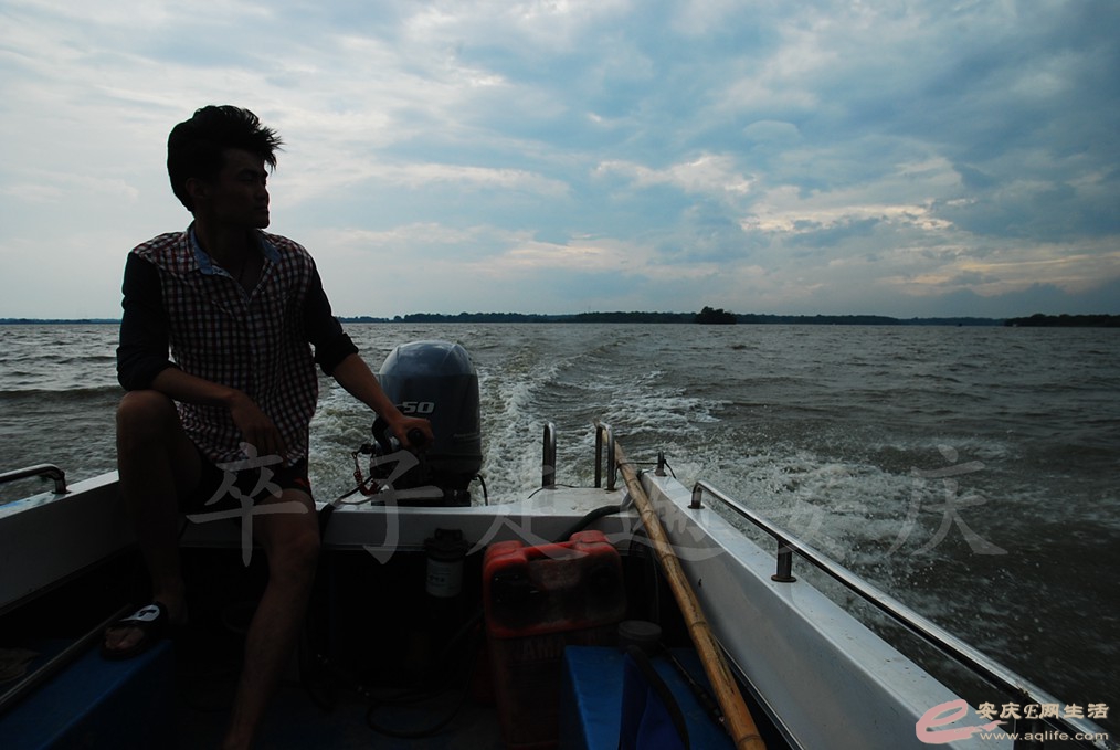 DSC_7446.jpg