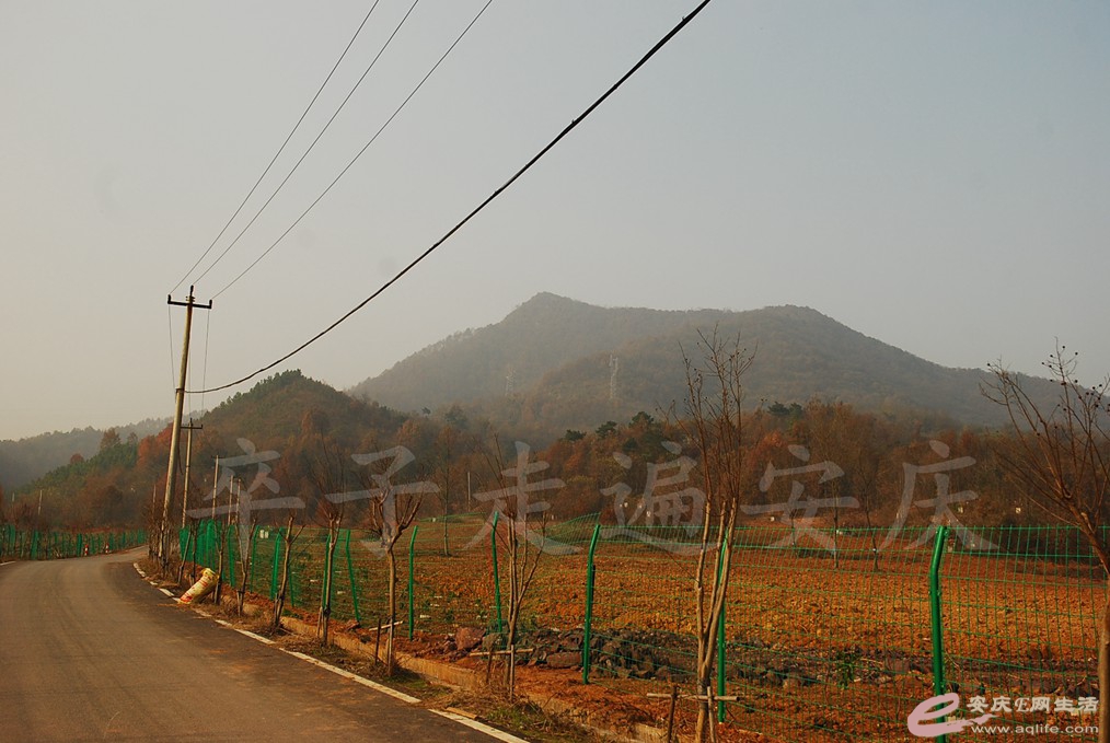 DSC_6720.jpg