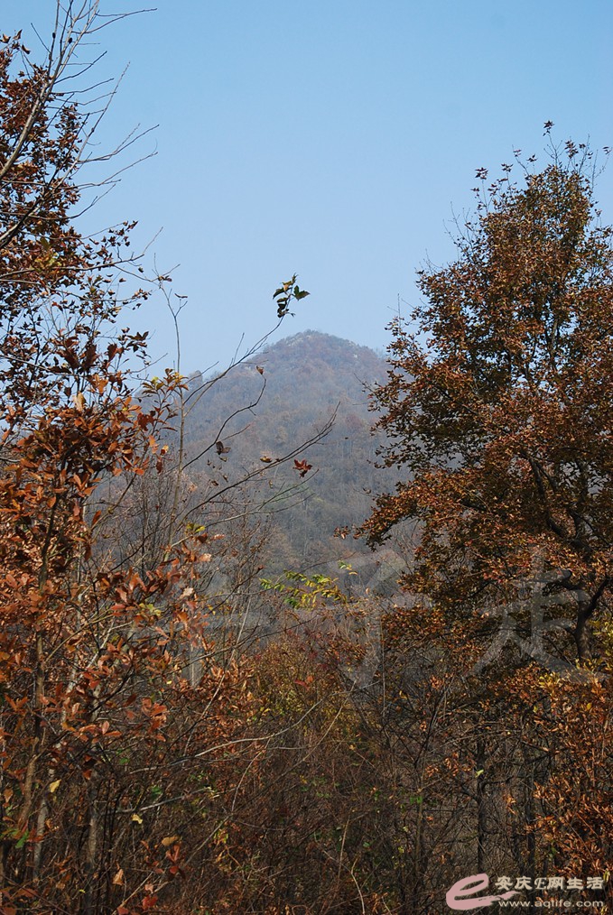 DSC_6733.jpg