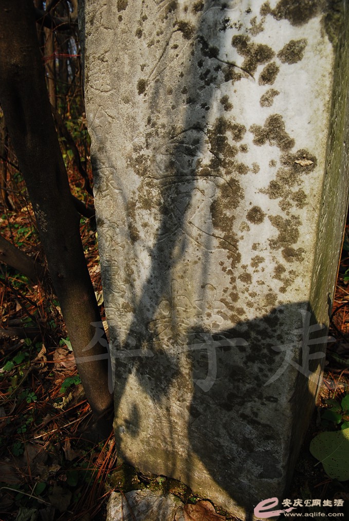 DSC_6766.jpg