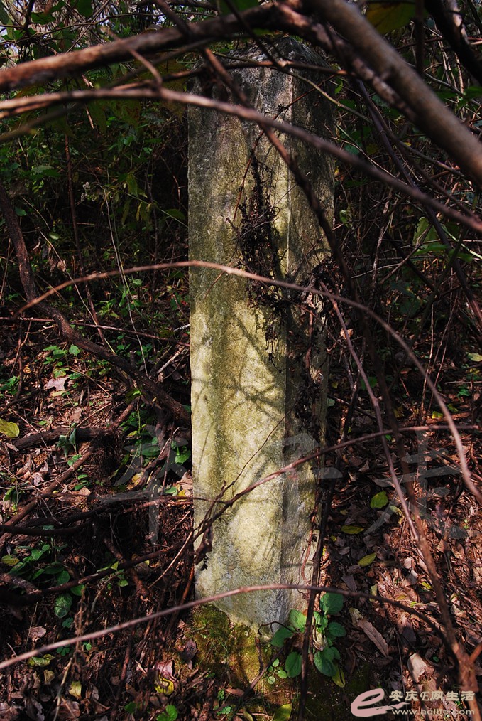 DSC_6744.jpg