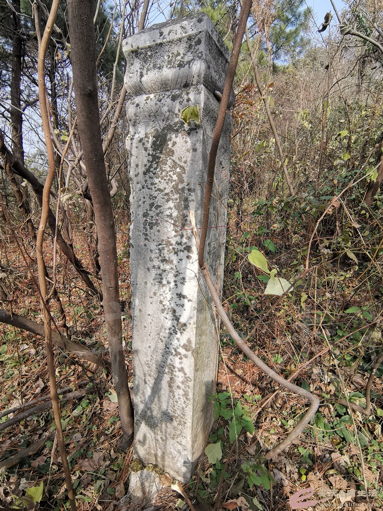 IMG_20201212_114952.jpg