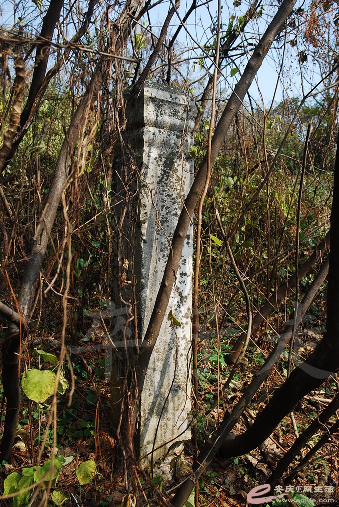 DSC_6768.jpg