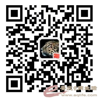 ΢Žͼ_20210121155930.jpg