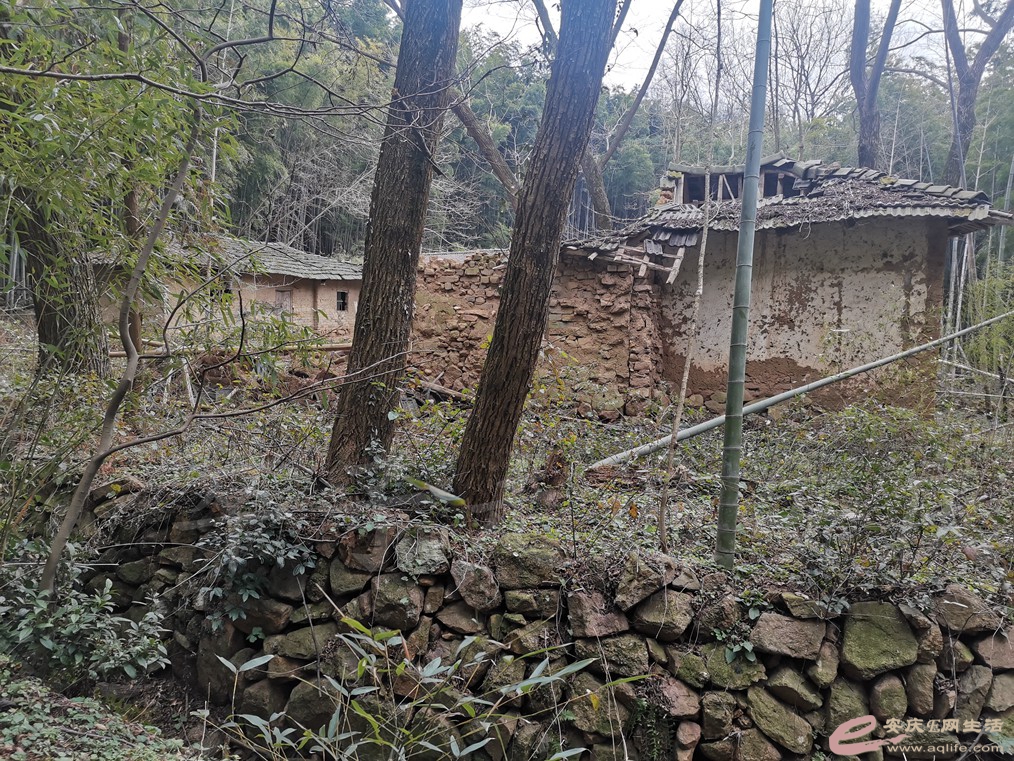IMG_20210130_113835.jpg