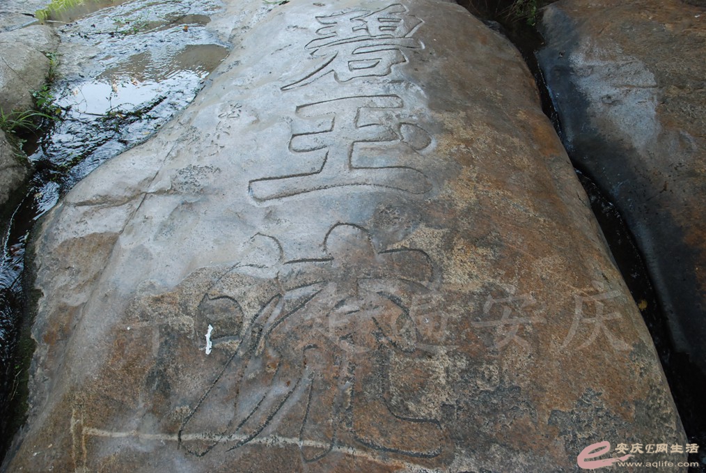 DSC_9315.jpg