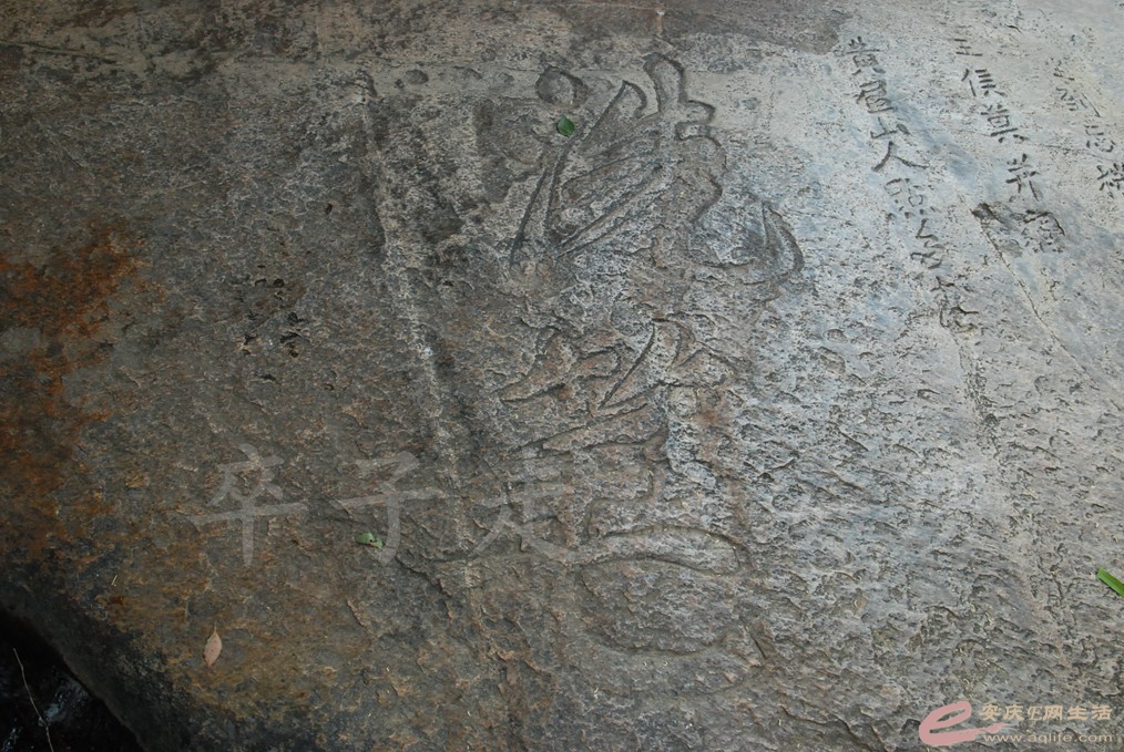 DSC_9329.jpg