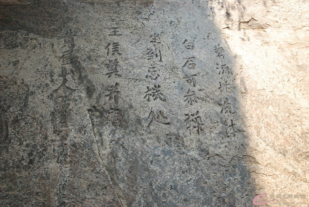 DSC_9331.jpg