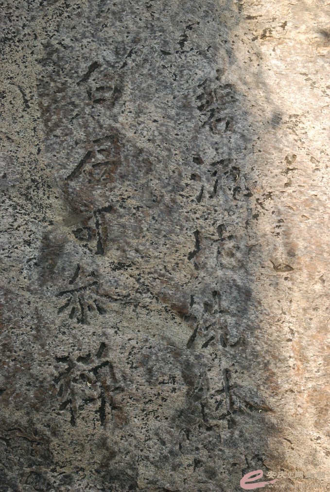 DSC_9332.jpg