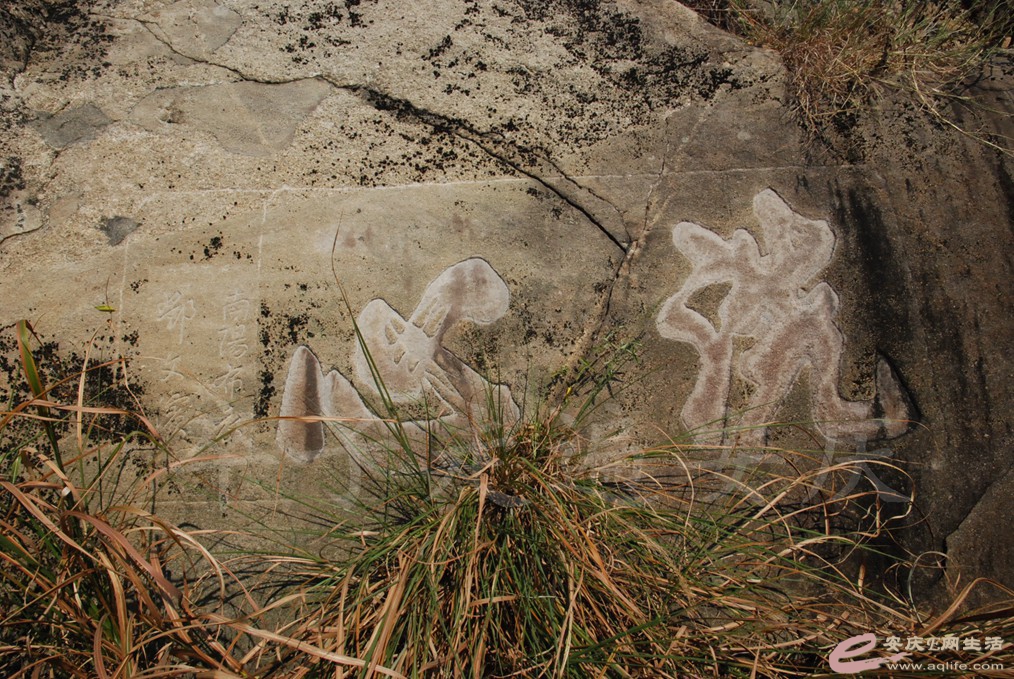 DSC_9374.jpg