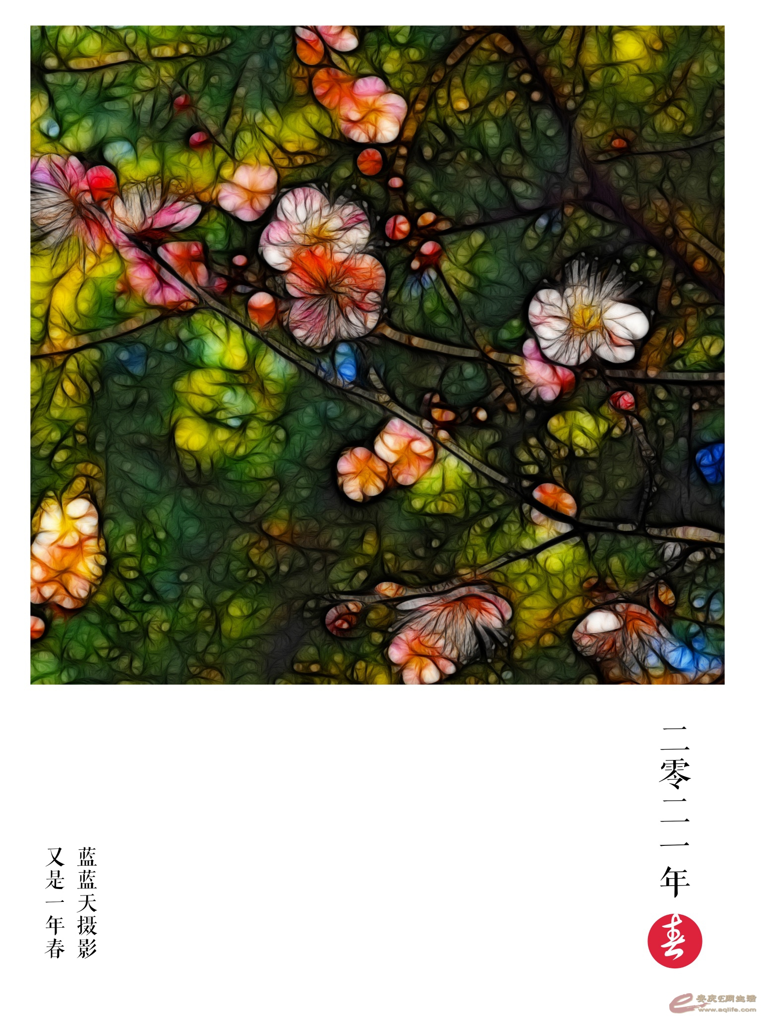 161306151939197.jpeg