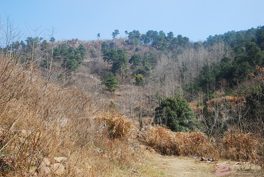 DSC_7118.jpg