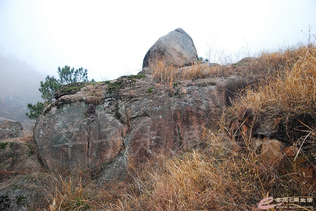 DSC_7137.jpg
