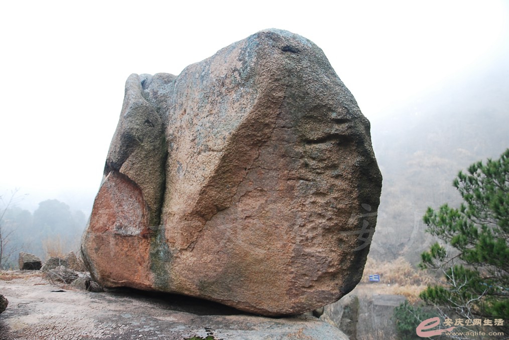 DSC_7144.jpg
